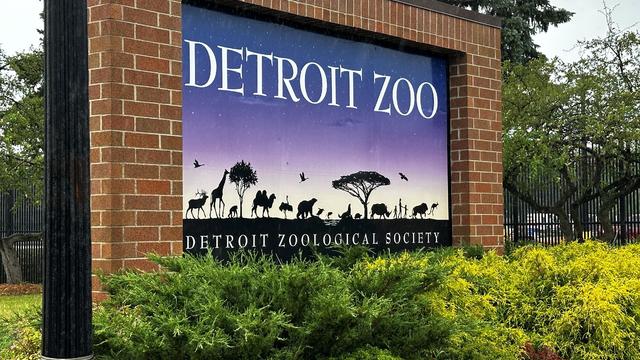 detroit-zoo.jpg 