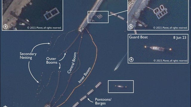 U.K. says Russia likely training dolphins in Ukraine's occupied Crimean peninsula to counter enemy divers