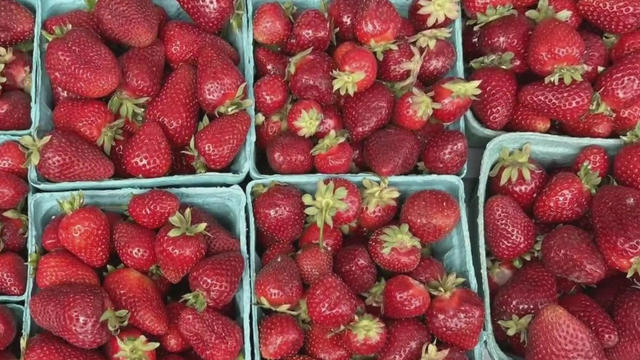 strawberry-fest.jpg 