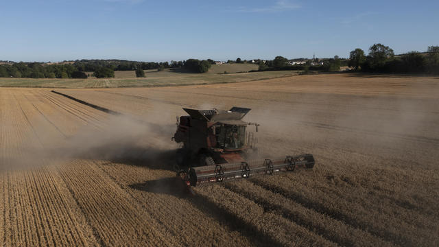 UK Farmers Face Warming Climate And Other Challenges At Harvest Time 
