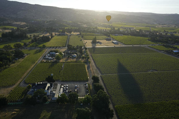California Wine From Above 