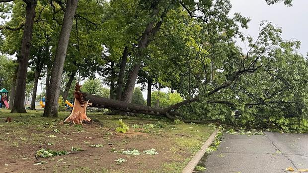 Storm damage at Crowley Park in Dearborn 