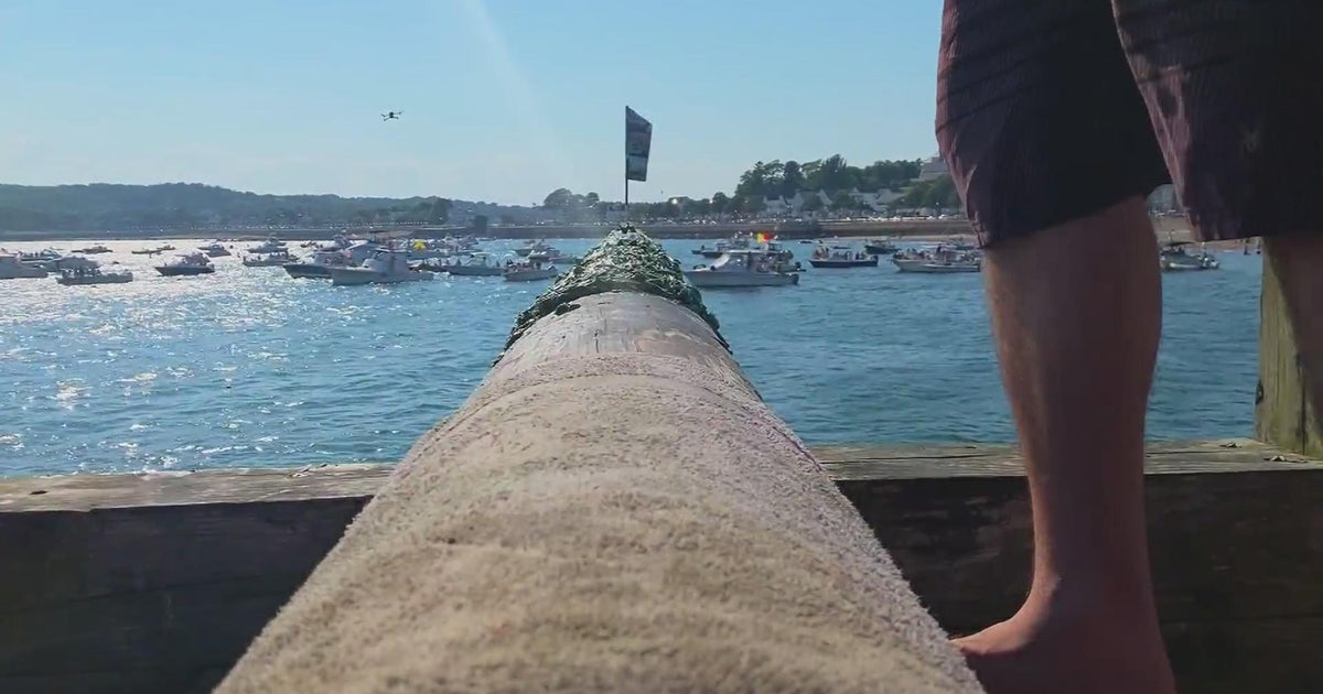 Love & Grease: The story behind Gloucester's greasy pole competition Love & Grease: The story behind Gloucester's greasy pole competition