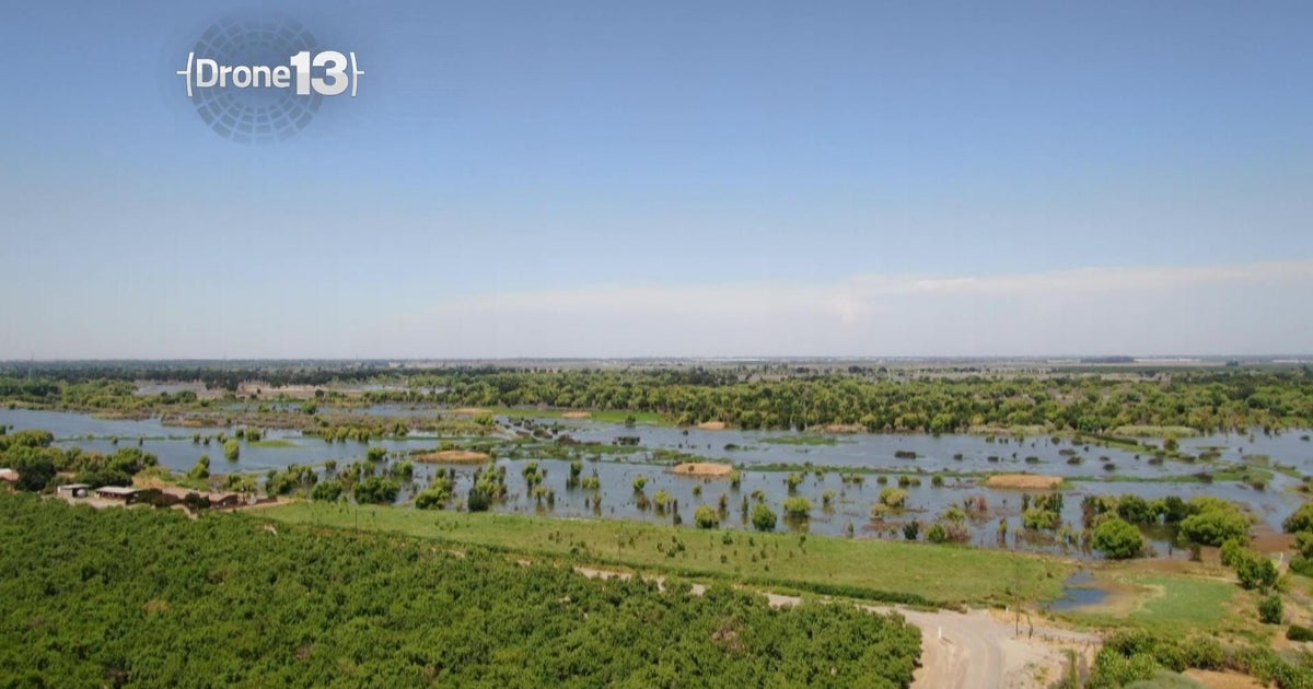 Drone13: San Joaquin River National Wildlife Refuge