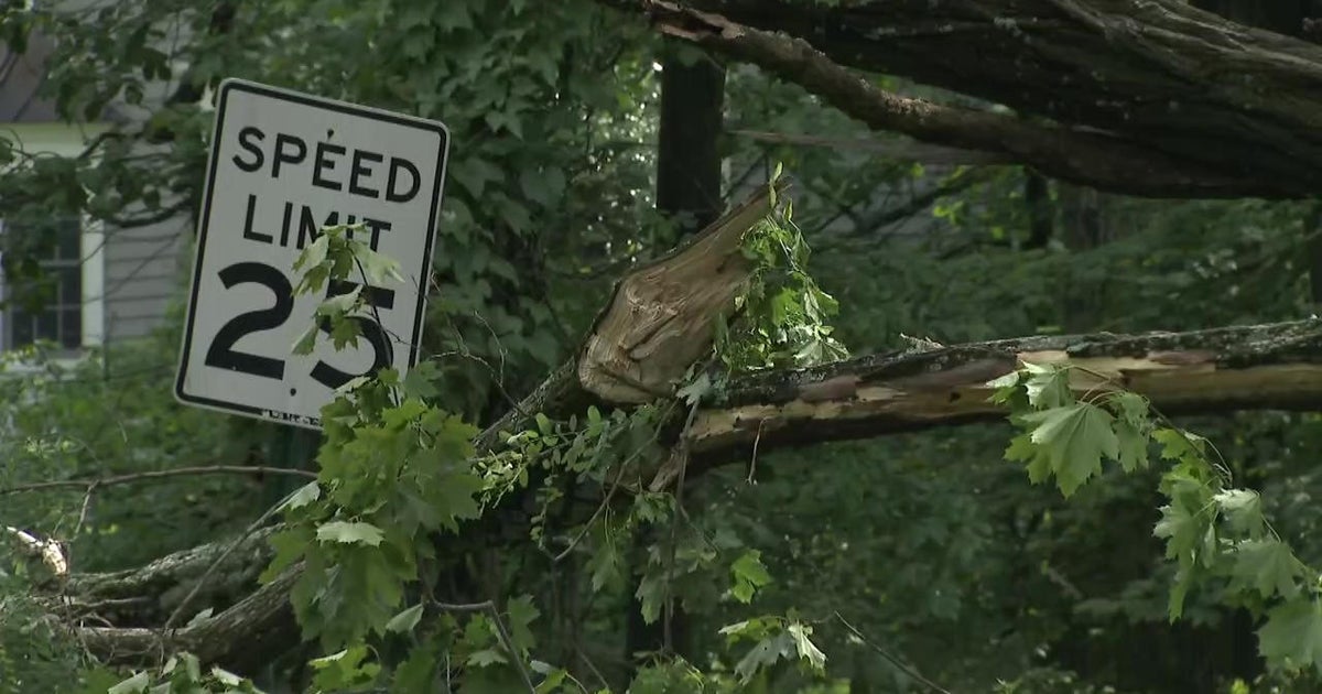 National Weather Service EF1 tornado touched down in Bernardsville, N