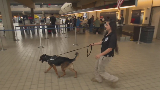 kdka-k-9-pittsburgh-international-airport.png 