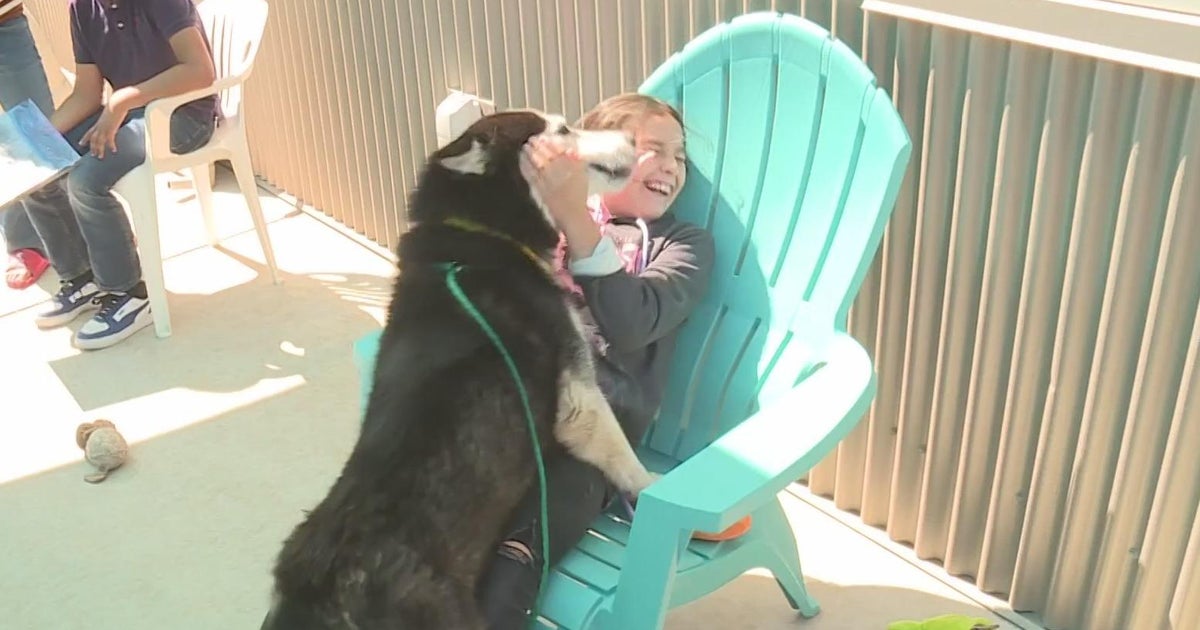 Deputies help Rio Linda girl get new dog after driver intentionally runs over puppy