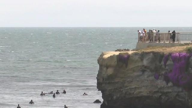 Santa Cruz surf spot 