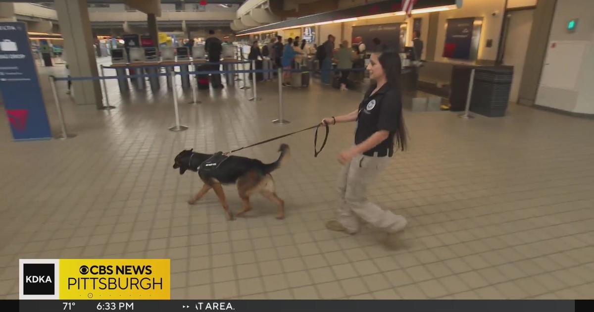 New K-9s sniff for explosives at Pittsburgh International Airport