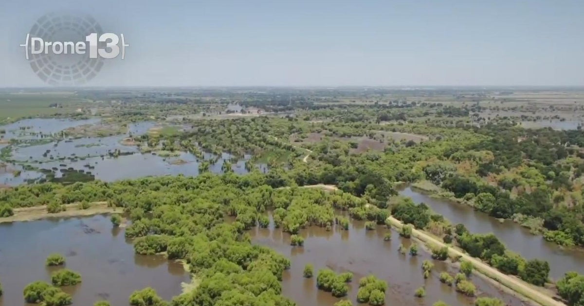 Save the bunnies, eliminate the swamp rat. How flooding has impacted San Joaquin wildlife.