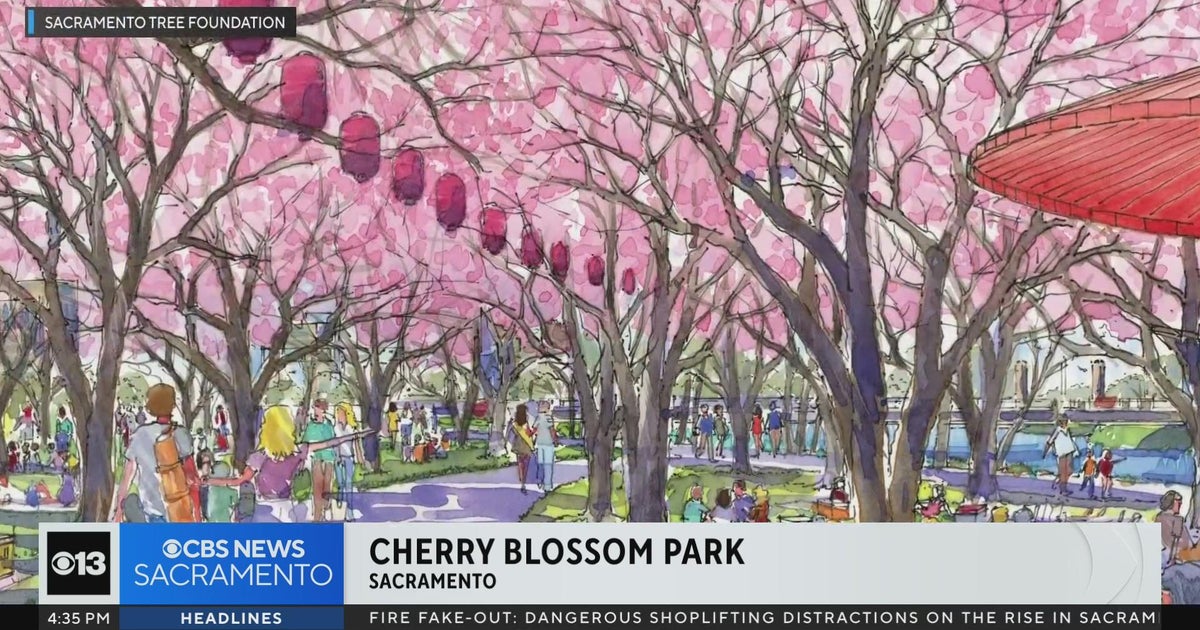 Hanami Line cherry blossom park breaks ground in Sacramento