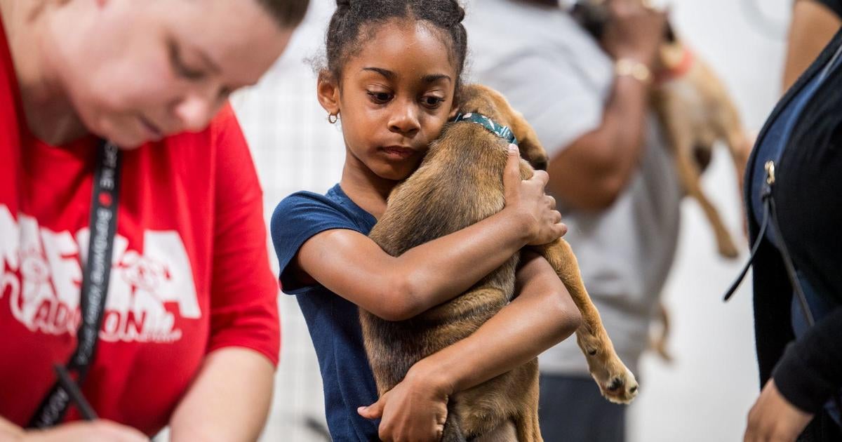 Brandywine Valley SPCA hosts mega adoption event CBS Philadelphia