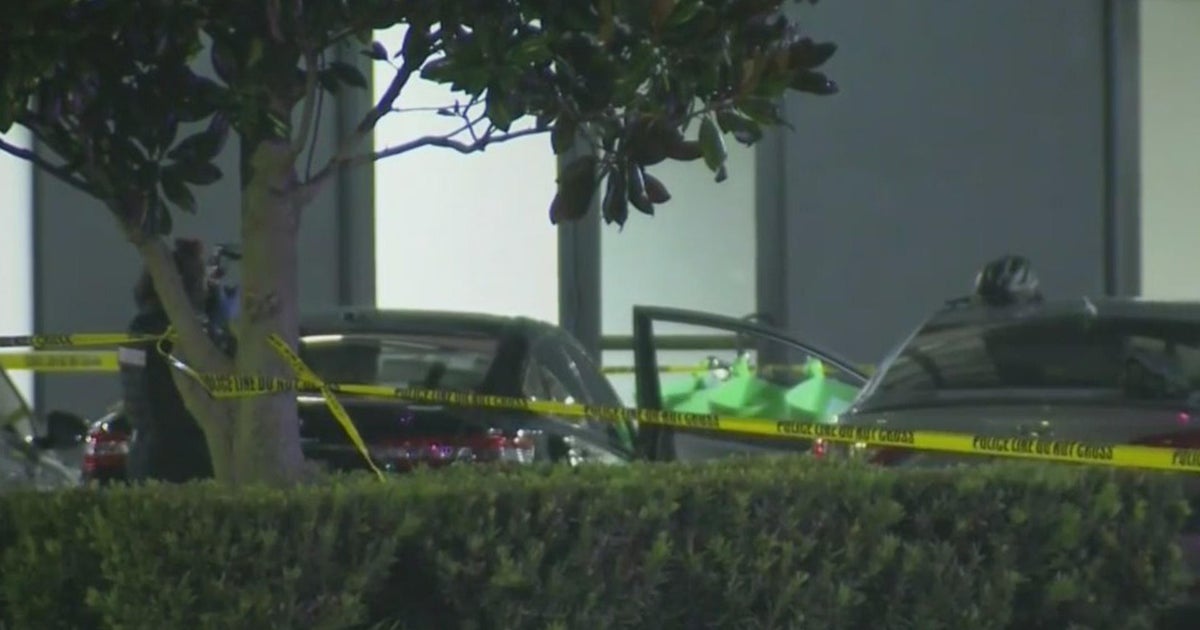 Orlando police officer fatally shot person in the course of a visitors prevent