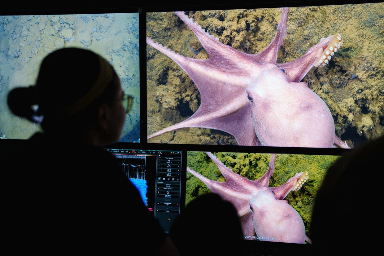 New species may have just been discovered in rare 