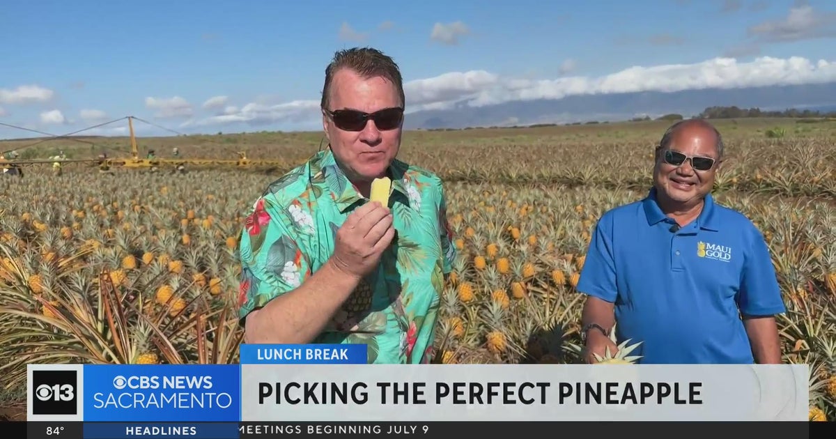 Lunch Break: Pineapples