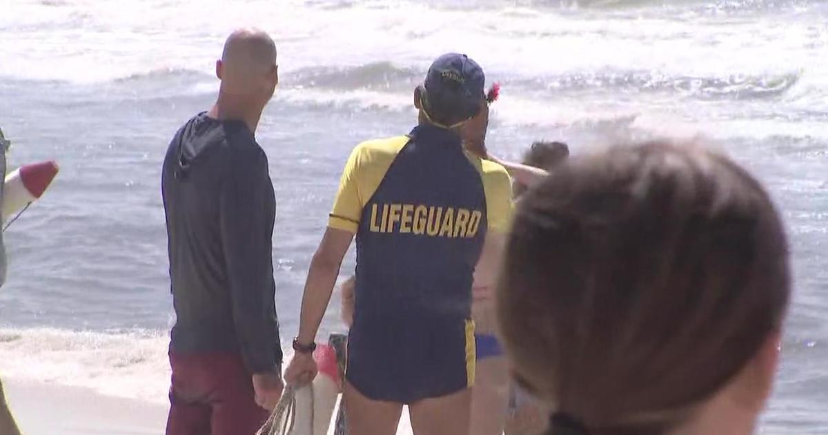 Multiple shark attacks reported off New York shores; 50 sharks spotted at one beach