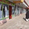 Taliban orders beauty salons to close in latest blow for Afghan women