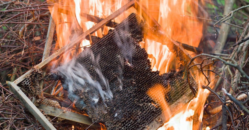 Police Bee swarm or medical emergency to blame for man's fiery death