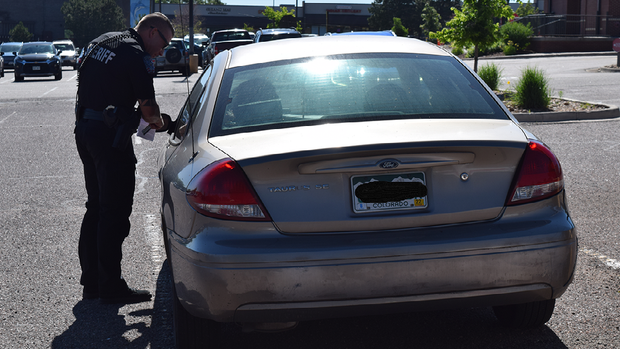 expired-tags-2-arapahoe-county-sheriff-copy.png