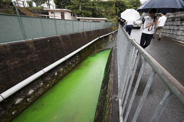 The Tatsuta River discolored to bright green is seen in Ikoma 