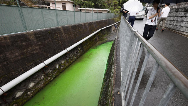 The Tatsuta River discolored to bright green is seen in Ikoma 