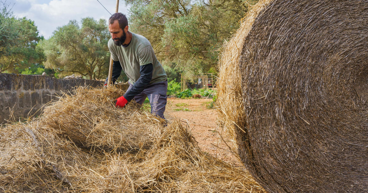 Farmers Wanted: Maryland Department of Agriculture looks to expand Hay and Straw Directory