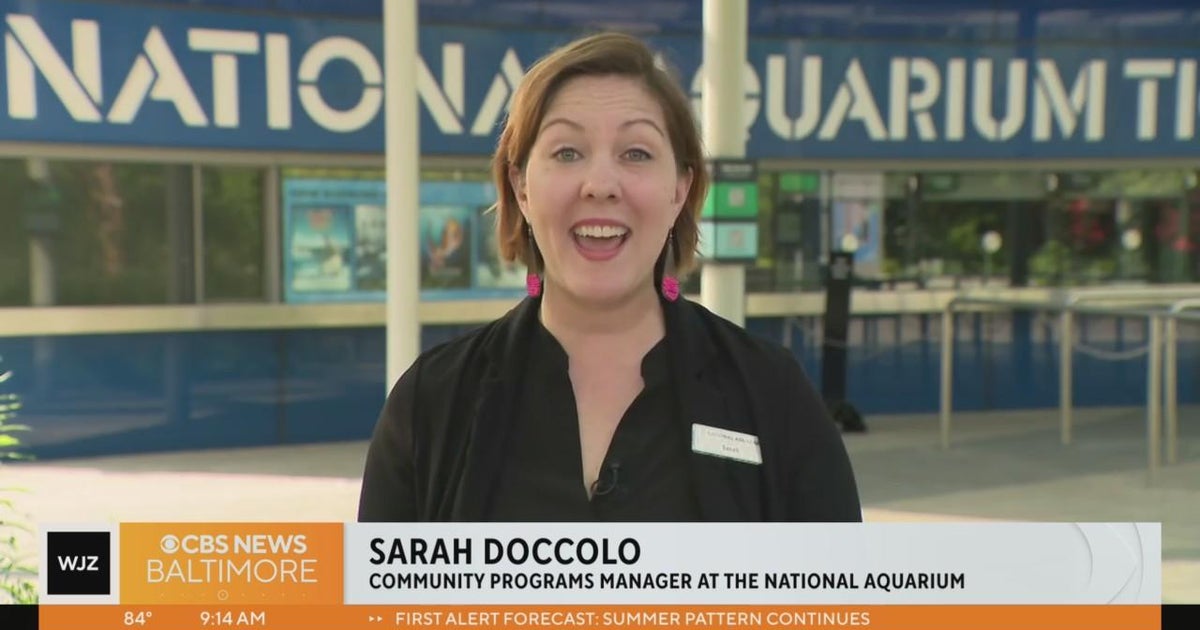 Chapter 3 of Voyages is coming to the National Aquarium CBS Baltimore