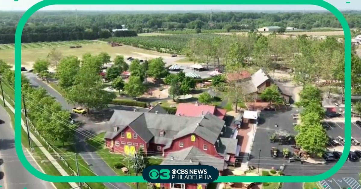 SummerFest 2023 Johnson's Corner Farm families for 70 years