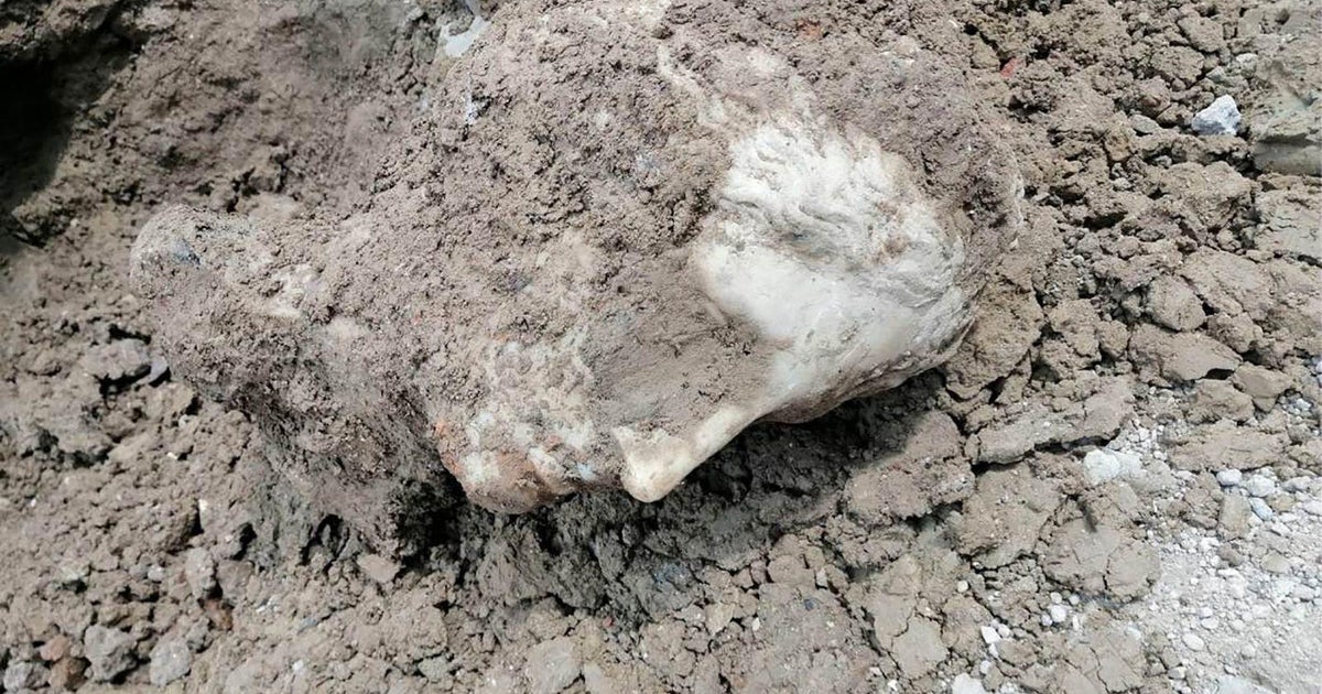 Marble head unearthed through operates in Rome piazza
