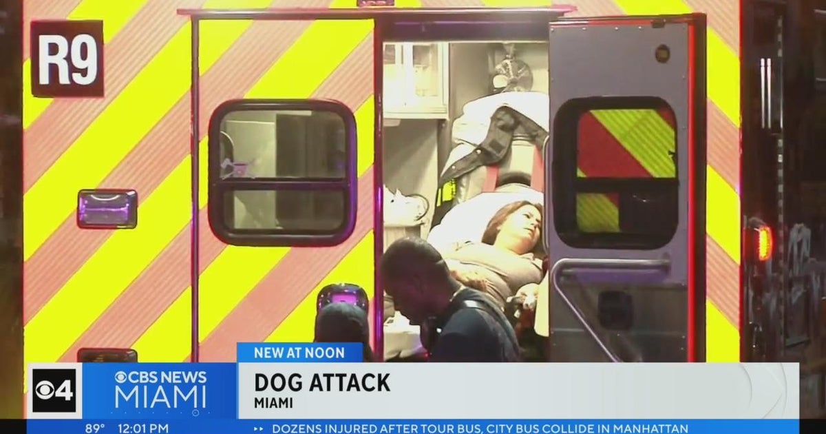 Miami officer forced to fire after dogs attacked woman - CBS Miami