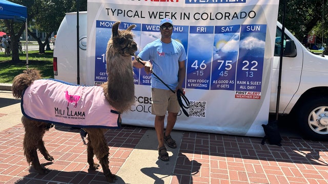 &iexcl;Viva! Streets Denver 