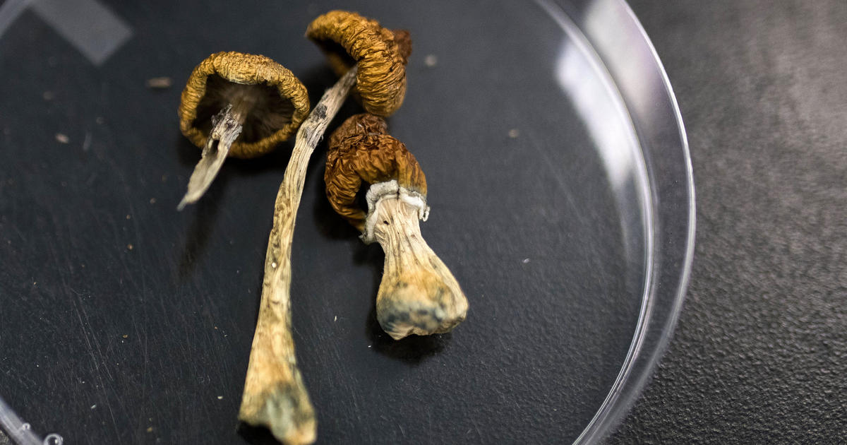 Veterans in Pittsburgh say they are finding relief in psychedelics