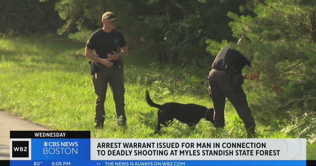 Arrest warrant issued for man in connection with fatal Plymouth ...
