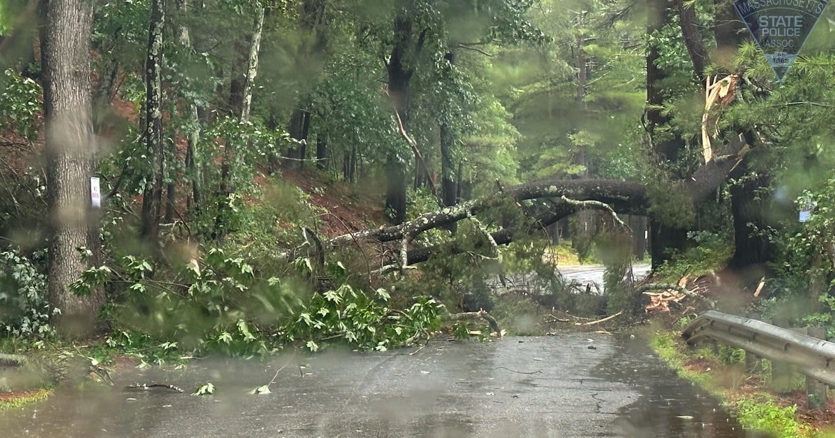North Brookfield assessing significant storm damage from possible tornado North Brookfield assessing significant storm damage from possible tornado