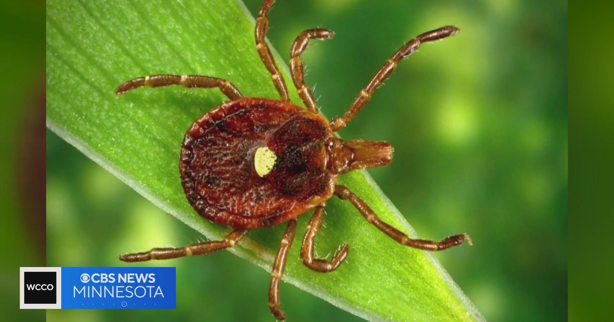 Climate change fueling increase of lone star tick sightings in