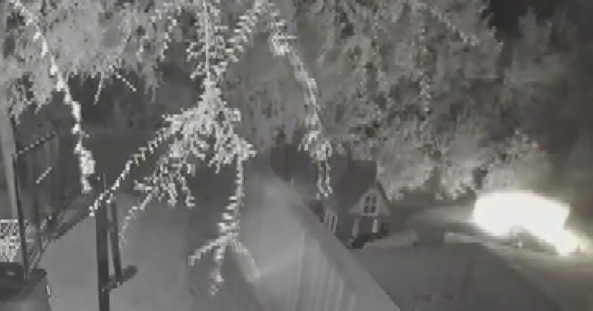 Spontaneous combustion of mulch causes El Dorado Hills backyard fire