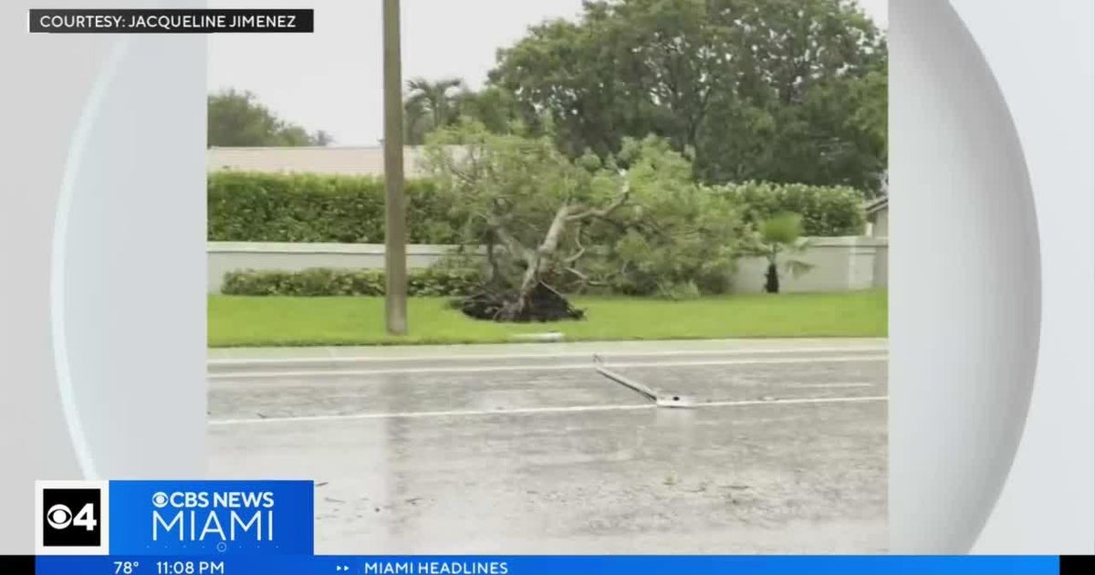 Potent South Florida storms snarl airline journey, go away countless numbers of inhabitants with no energy