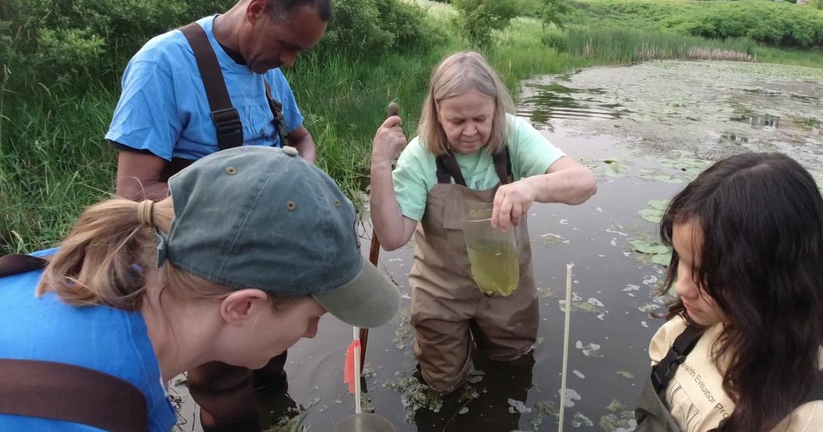 Volunteers explore Dakota County wetlands for signs of biodiversity ...