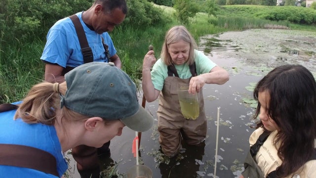 10p-pkg-wetland-health-wcco3pwq.jpg 