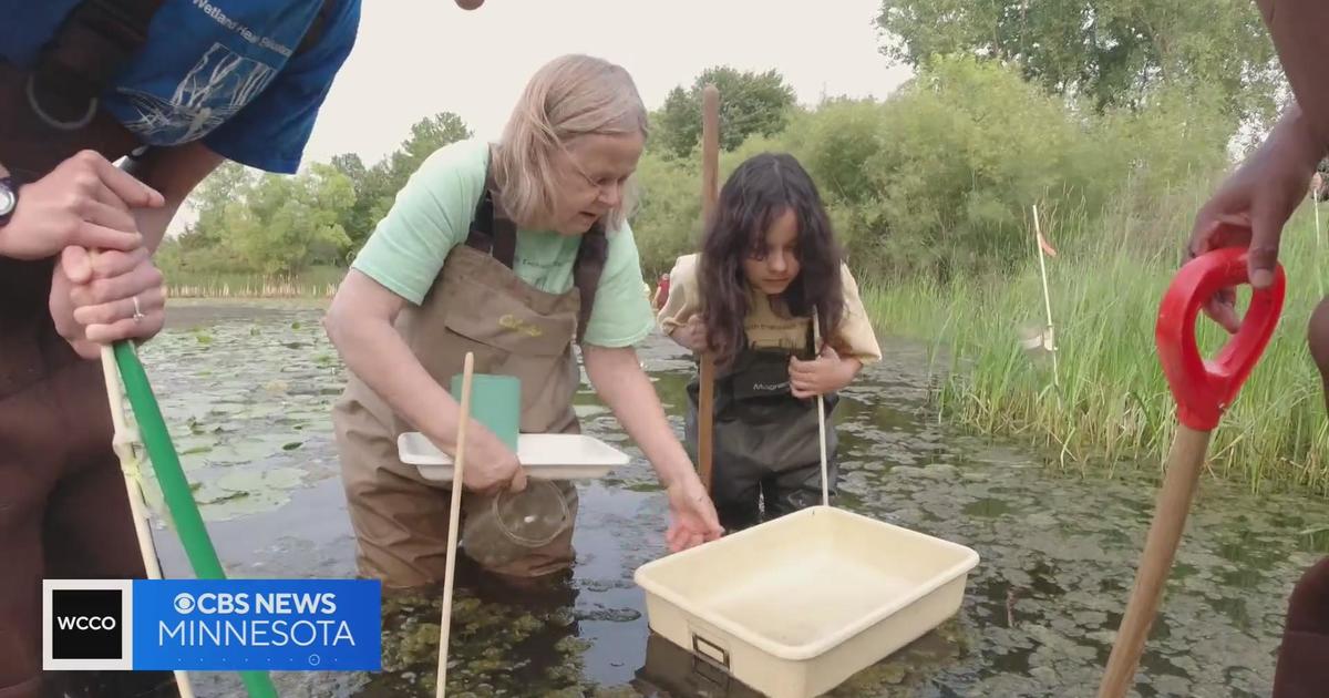 Volunteers search Dakota County wetlands for signs of biodiversity