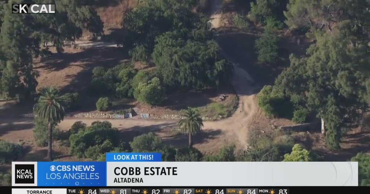 Cobb Estate Look At This! CBS Los Angeles