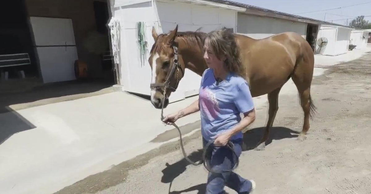 Workers at Golden Gate Fields face uncertain future with end of NorCal ...