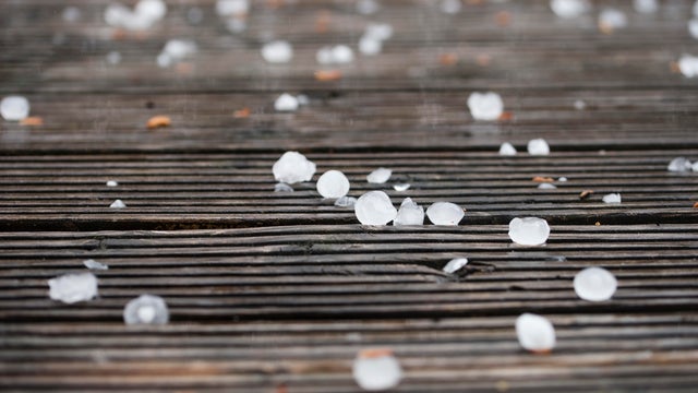 Hailstones on plank