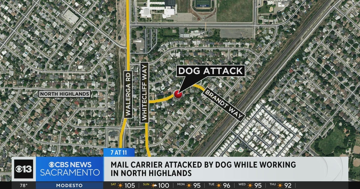 Sheriff Mailman attacked, hospitalized after dog attack in North