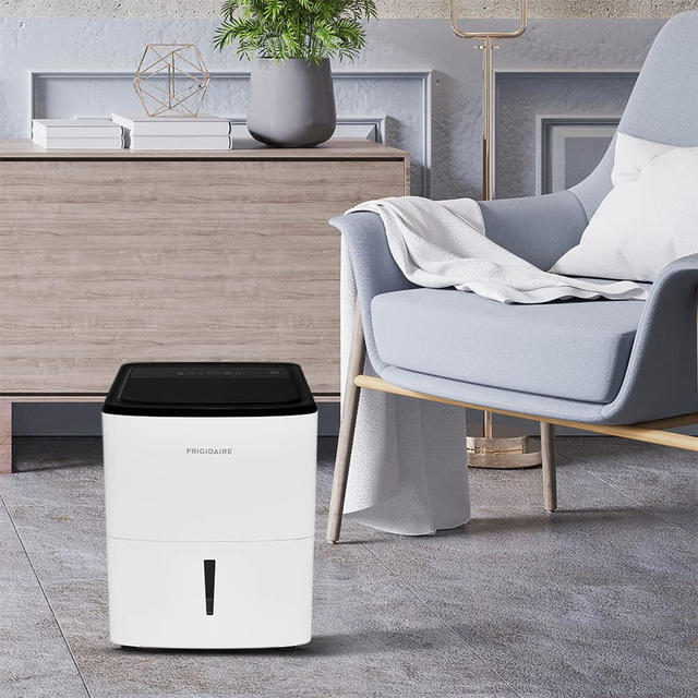 Best Dehumidifiers 2023 - Forbes Vetted