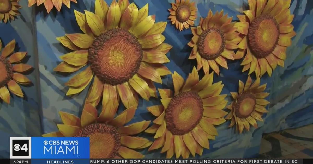 Vincent van Gogh exhibit comes to Miami