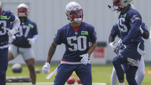 New England Patriots Minicamp 2023 