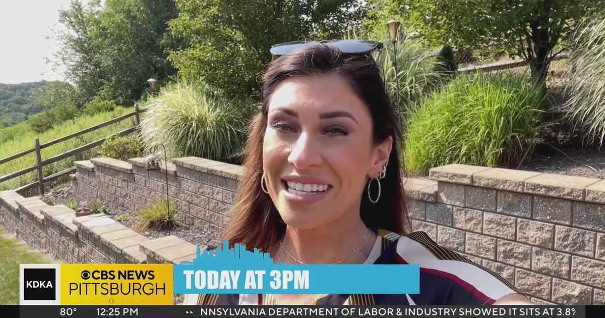 Today on Talk Pittsburgh - CBS Pittsburgh