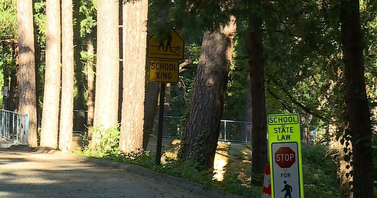 150 trees tagged for removal over fire concerns in Nevada City