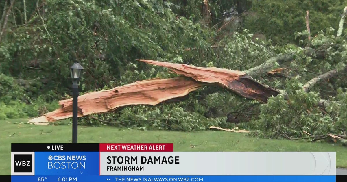 Severe thunderstorms wreak havoc, close roads as towns, cities report